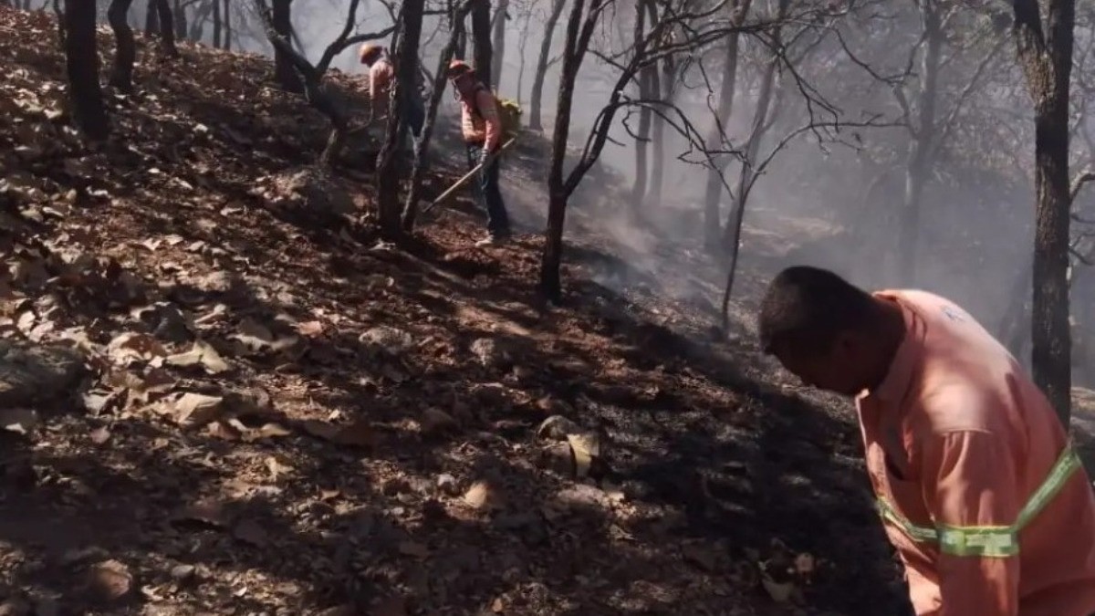 Incendio en Sierra de Lobos afecta a 167 hectáreas