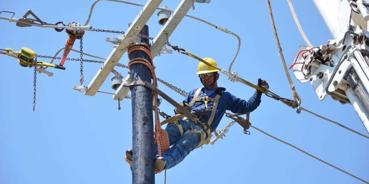 Se revisarán y revocarán permisos y contratos: Federación