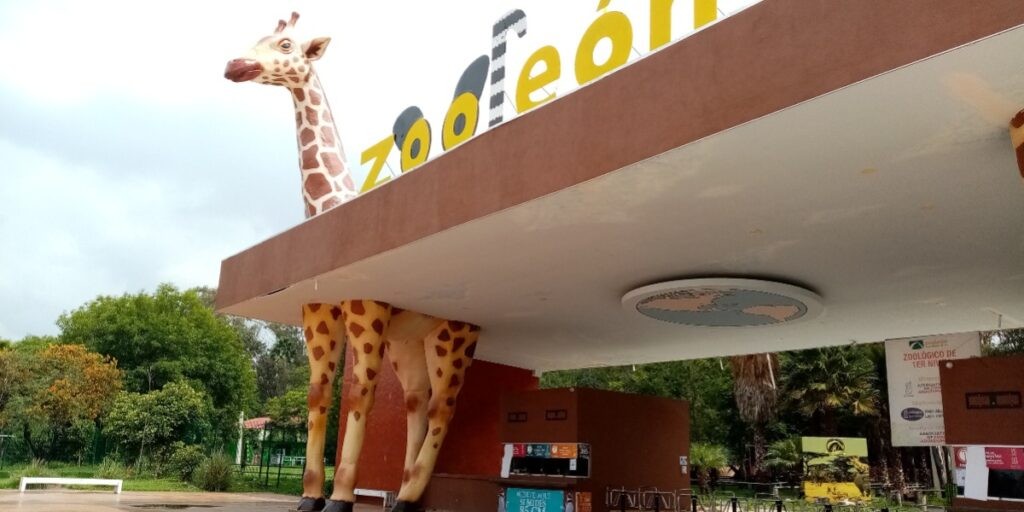 Buscarán Huevos de Pascua en el Zoológico de León
