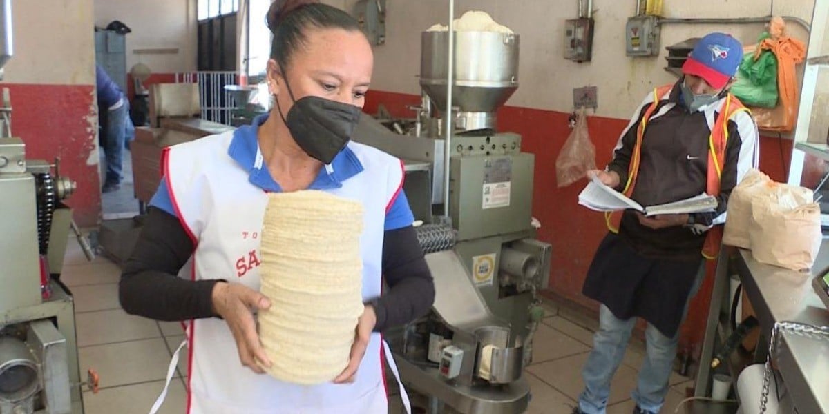 Costo de las tortillas, ¡por los cielos!; cuesta 22 pesos el kilo