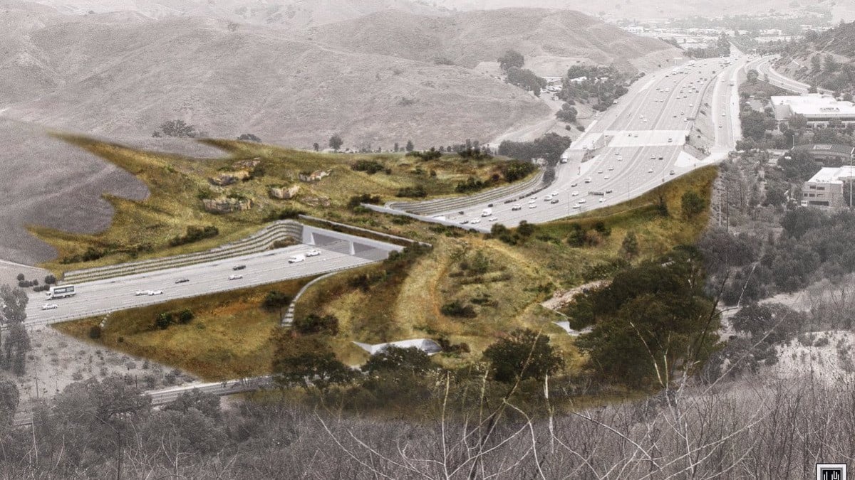 Empiezan a construir el puente para fauna más grande del mundo