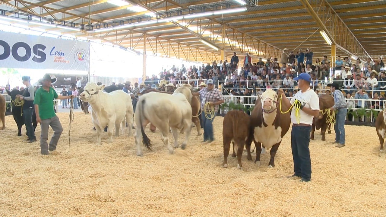 Buscan quitar a la Unión Ganadera predio donado hace 21 años