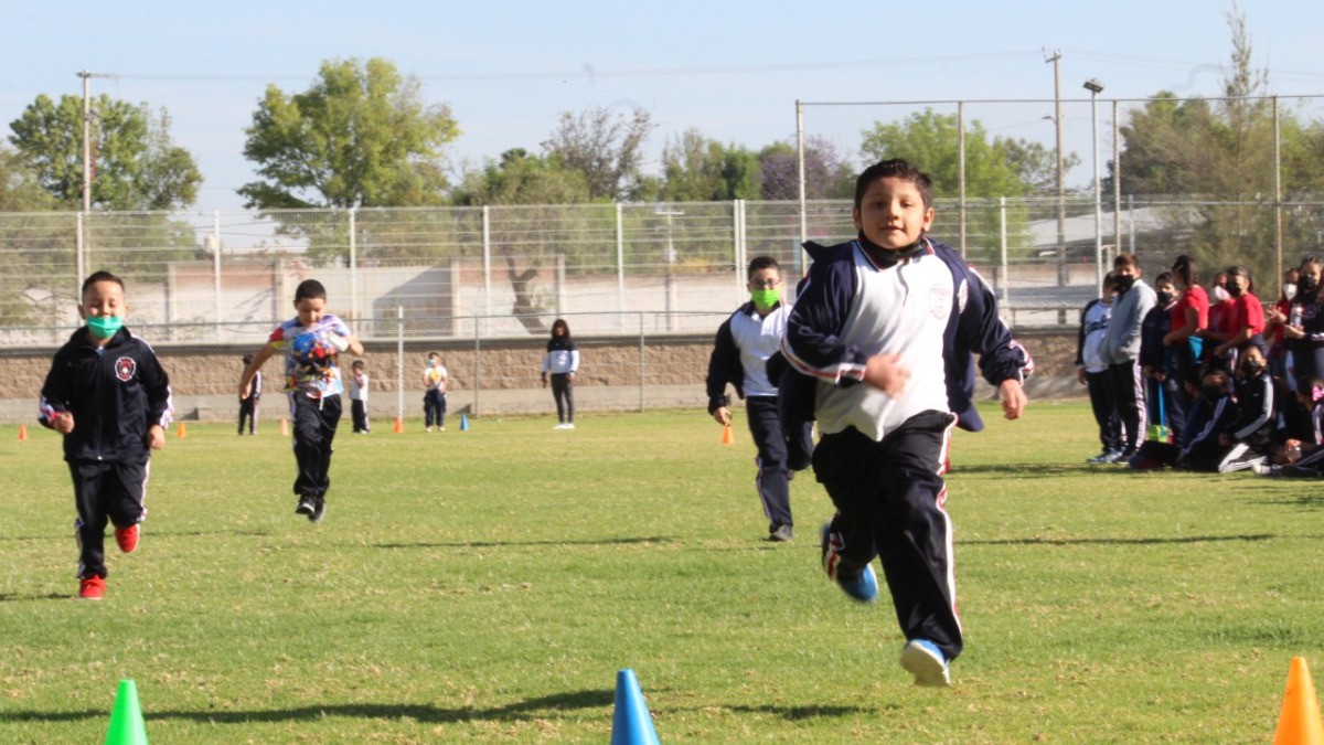 Dejan la escuela por falta de recursos económicos y tecnología