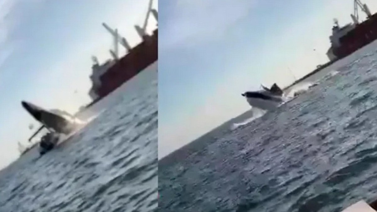 Ballena cae en embarcación al saltar fuera del mar
