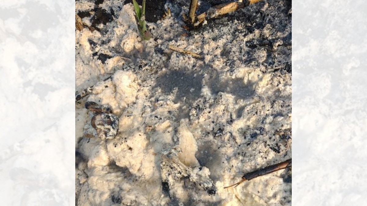 Colectivo halla restos humanos disueltos en ácido en Irapuato