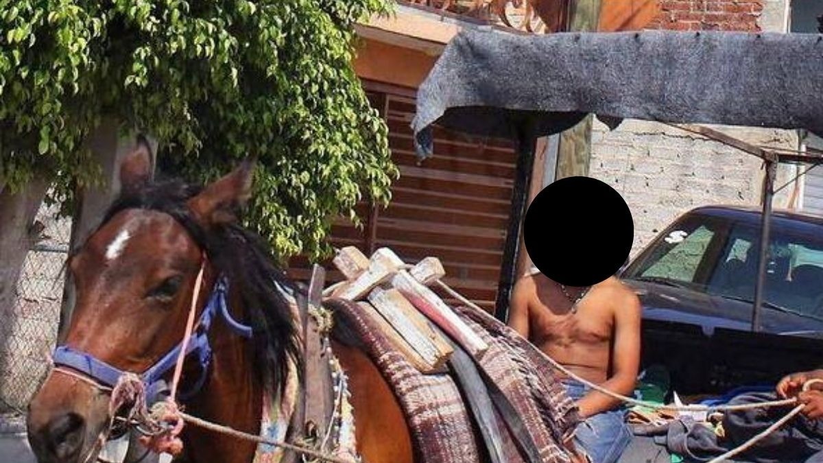 Prohibirán movilidad en caballos y burros en zona urbana