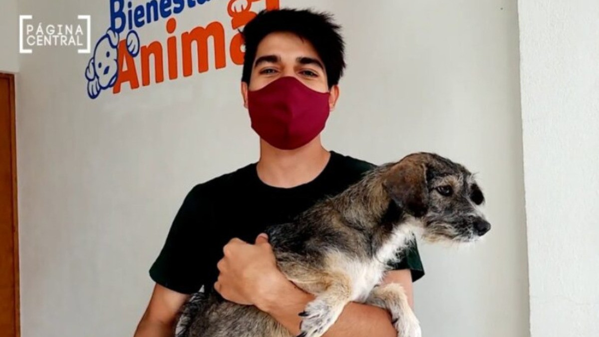 ¿Sabes en dónde estará el hospital de mascotas?; ¡aquí te lo decimos!