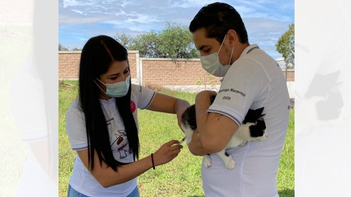 Realiza SSG tratamiento antirrábico a nueve guanajuatenses