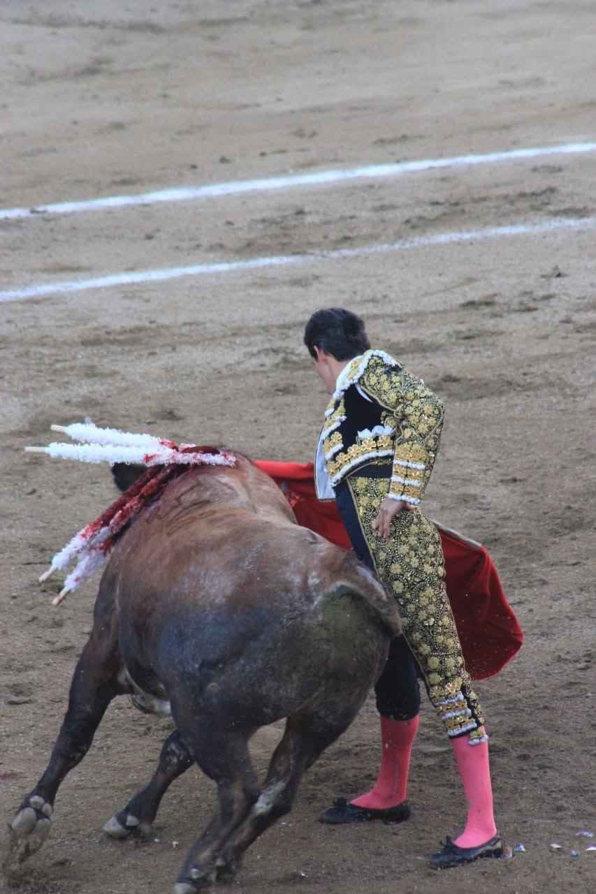 No habrá corridas de toros en la Plaza México