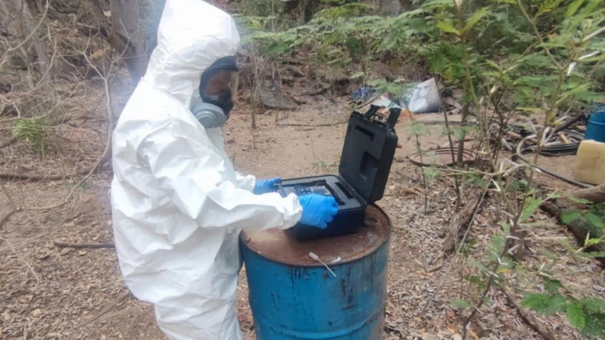 Desmantela Sedena 25 narcolaboratorios en Sinaloa