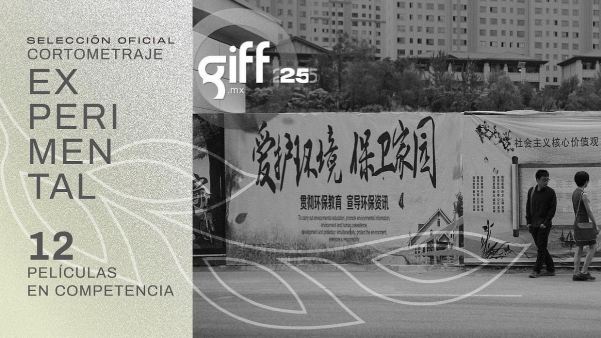 León, San Miguel de Allende e Irapuato, serán sede del GIFF