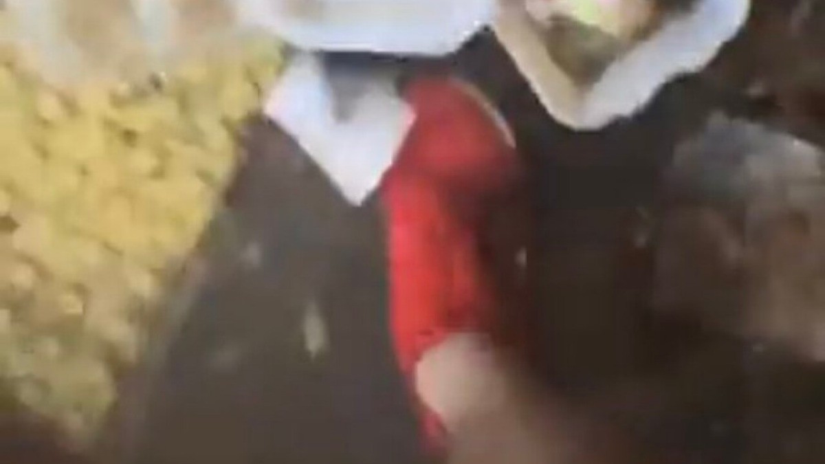 ¡Corre! Six Flags publica extraño video en vivo durante la madrugada