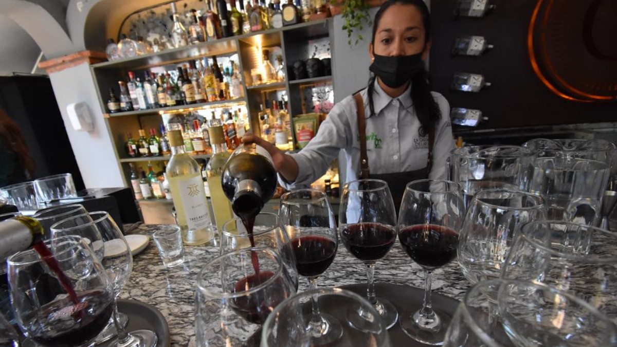 ¡No te las pierdas! Arrancan vendimias en viñedos guanajuatenses