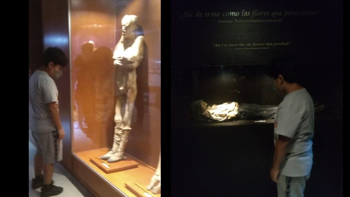 Museo de las Momias no es viable: INAH