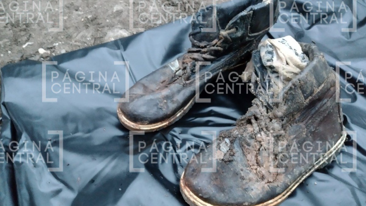 Buscadoras han localizado 13 cuerpos entre Irapuato y Salamanca