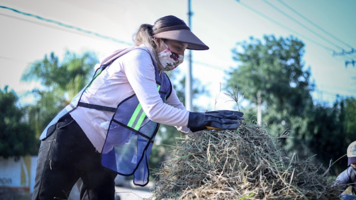 Convertirán 30 baldíos de León en parques vecinales