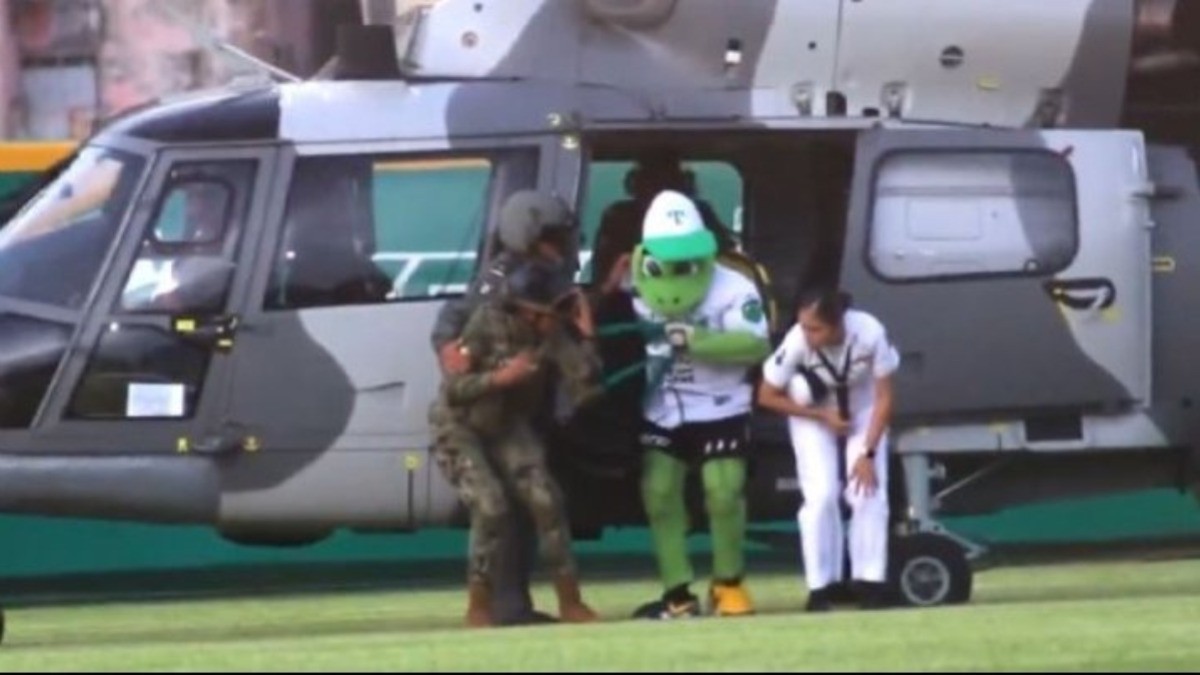 Esta semana: Pochi, la Marina y los memes