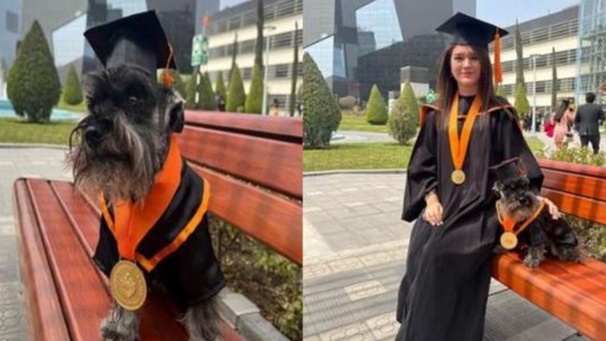 #VIDEO | Perrito 'se gradúa' junto con su 'humana'