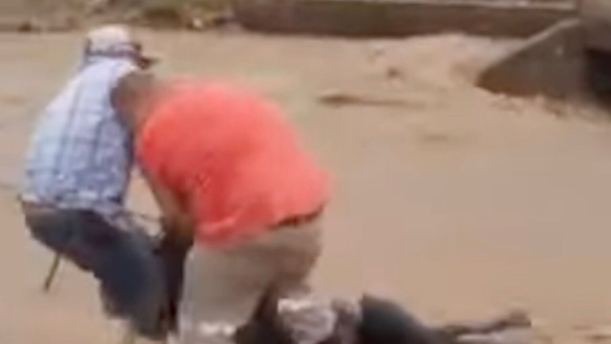 ¡Sálvame vaquero! Salen héroes en las crecientes de Sonora