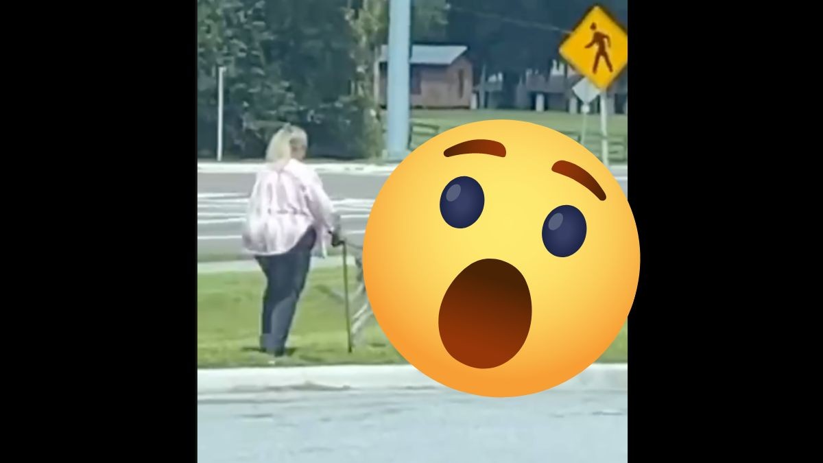 #VIDEO | Saca a pasear a su ¿perro?, ¿lobo?, ¿hiena?