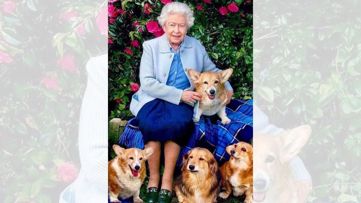 ¿Qué pasará con los perritos de la Reina Isabel ll?