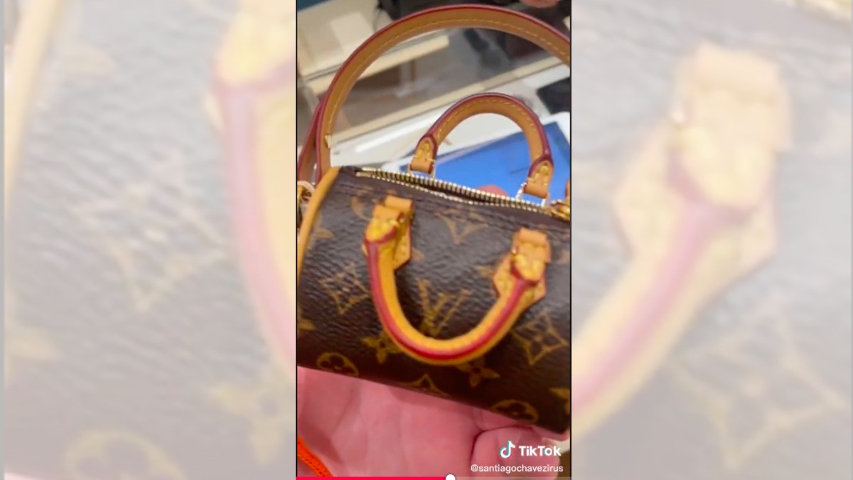 ¡Compra bolsa Louis Vuitton para su perrito!