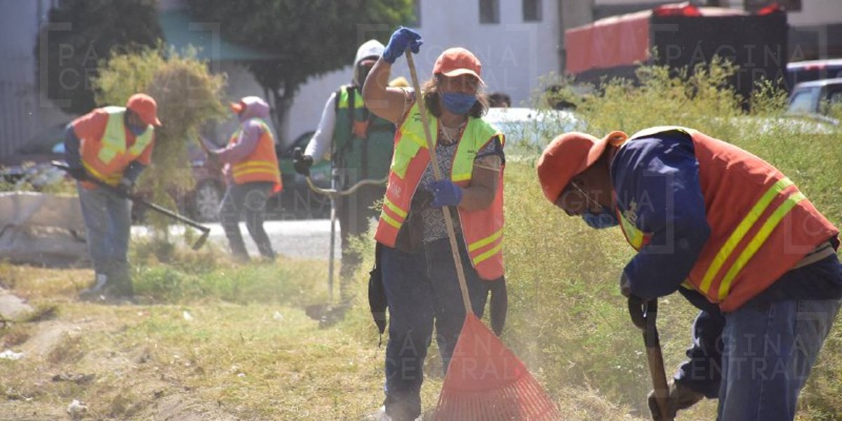 ¿Te urge dinero? Ayúdate ayudando abre inscripciones