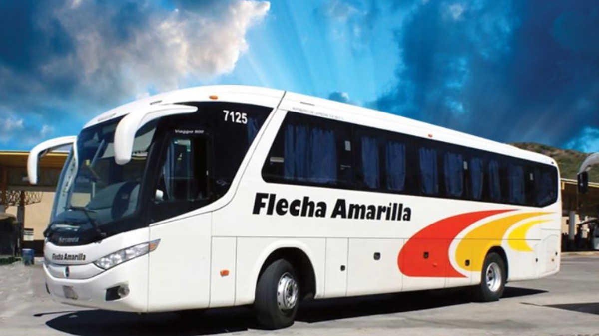 Inseguridad no ha afectado corridas de Flecha Amarilla