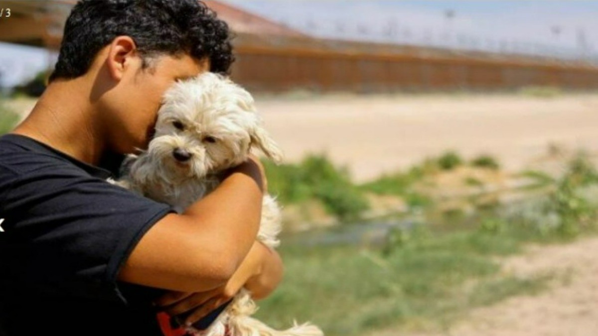 Abandona a su perrita en la frontera por no poder cruzar con ella