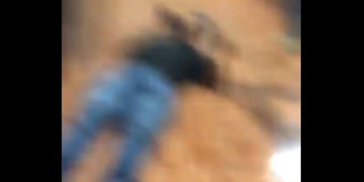 Se deslinda CJNG de masacre en Tarimoro