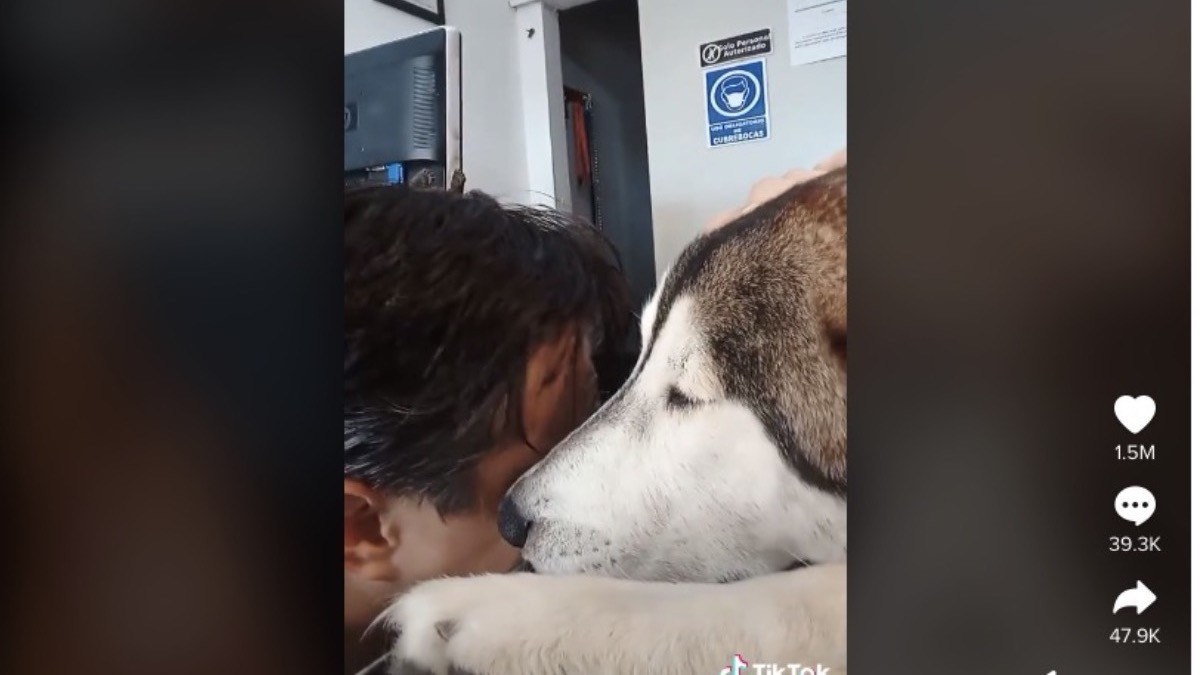 ¡Desgarrador! Se despide entre lágrimas de su mejor amigo