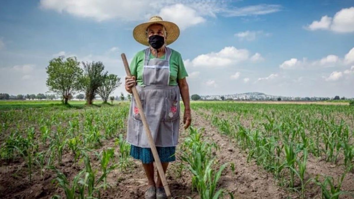 Busca GPPAN que mujeres rurales tengan acceso a programas de apoyo