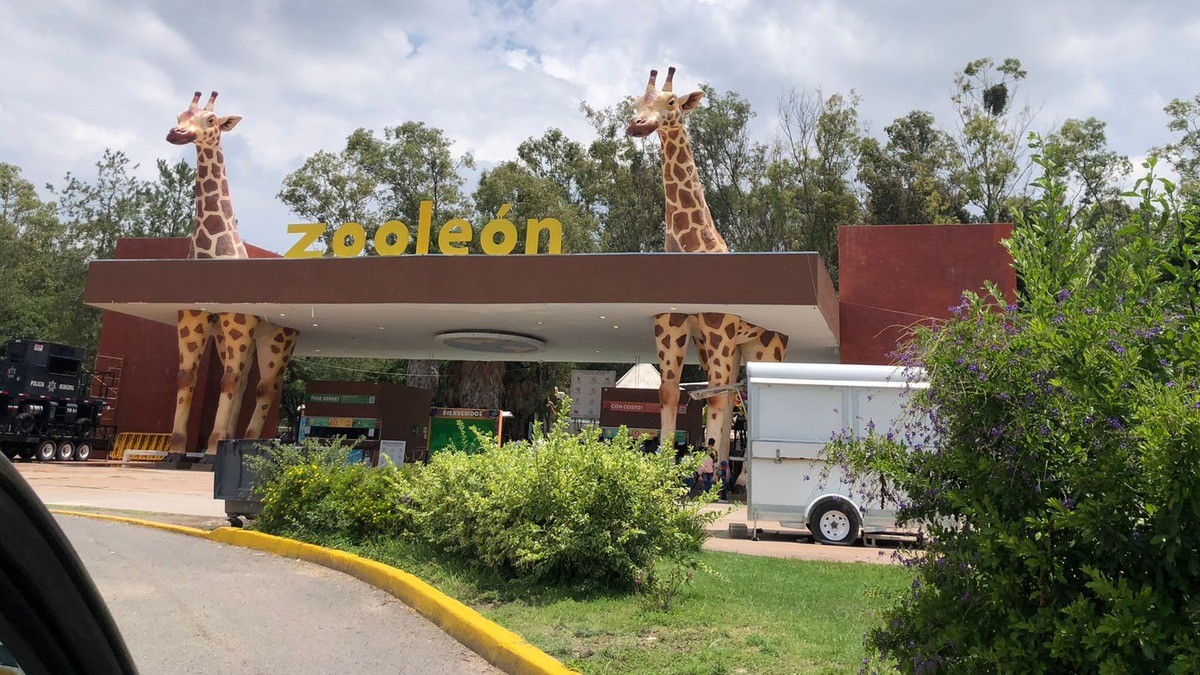 ‘Perro Parque’ será estacionamiento los domingos