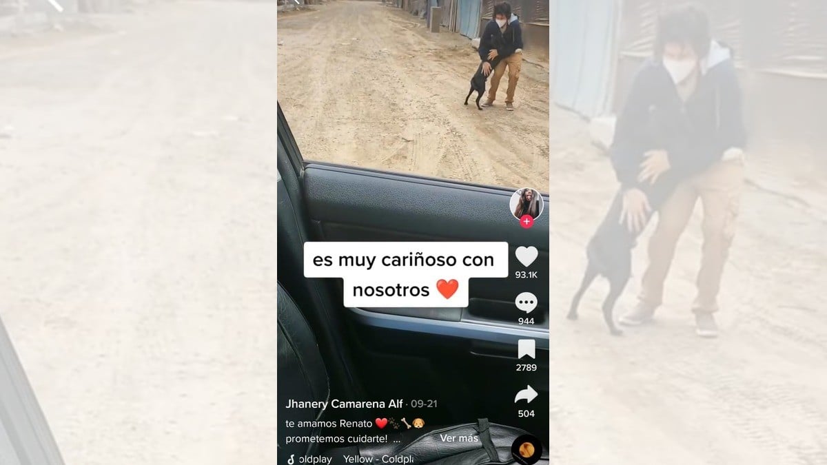 ¡Perrito persigue a pareja para que lo adopten!
