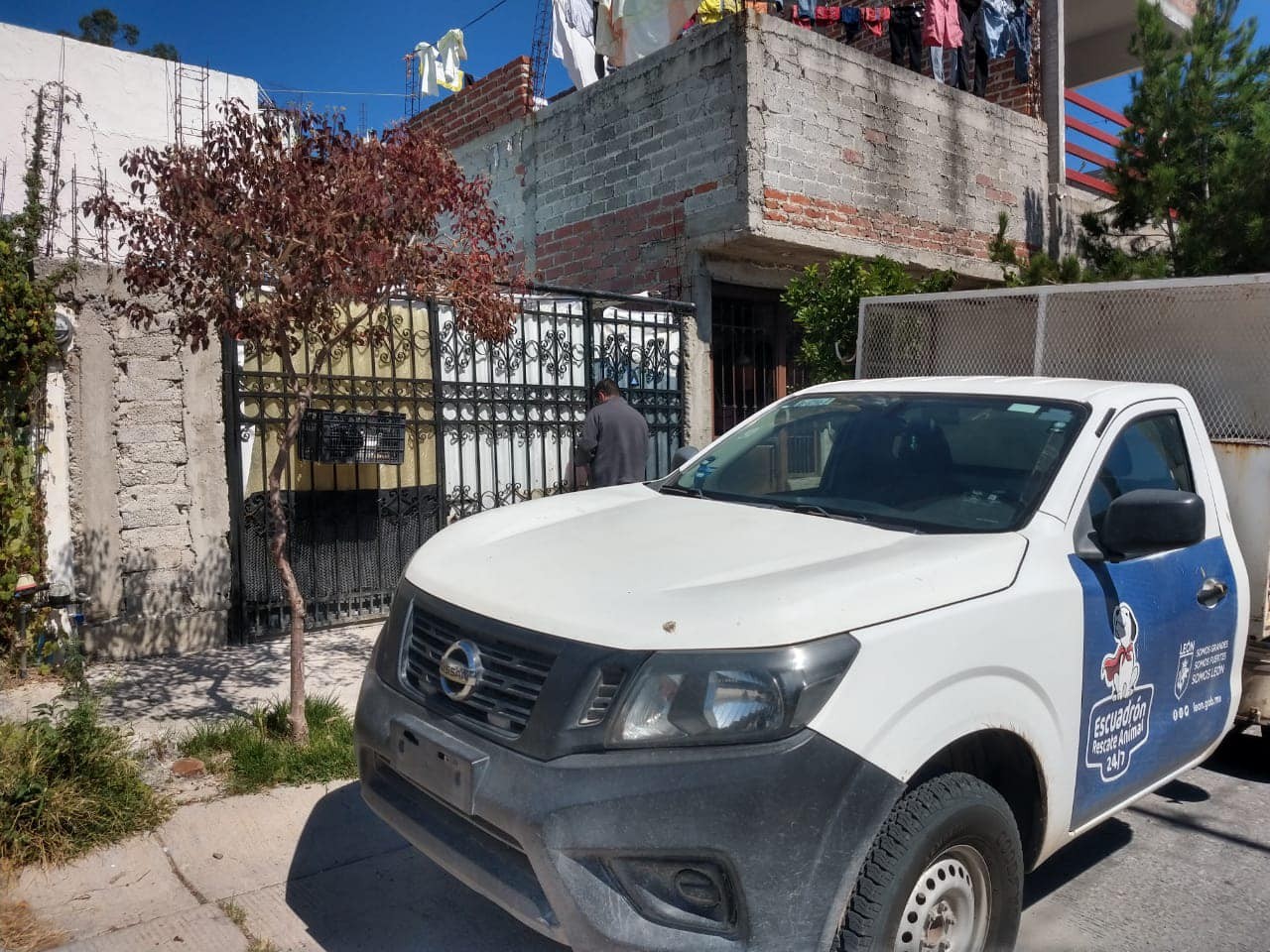 Presenta alcaldía denuncia por maltrato animal en Joyas de Castilla