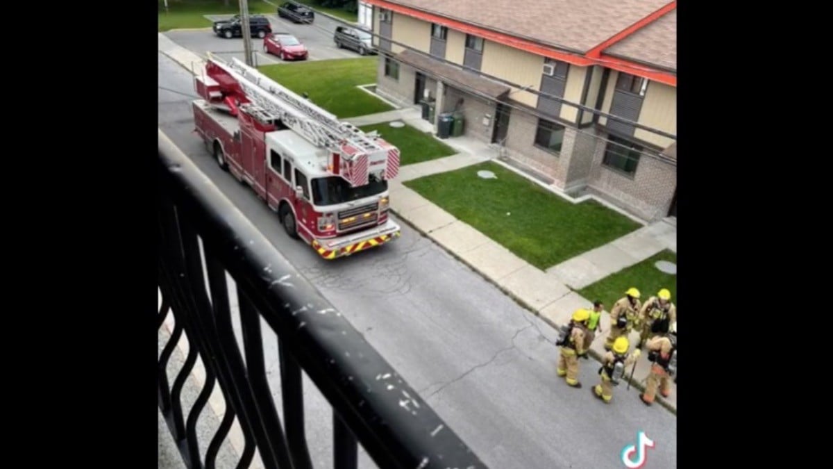 Arman carnita asada en Canadá; ¡llegan los bomberos!