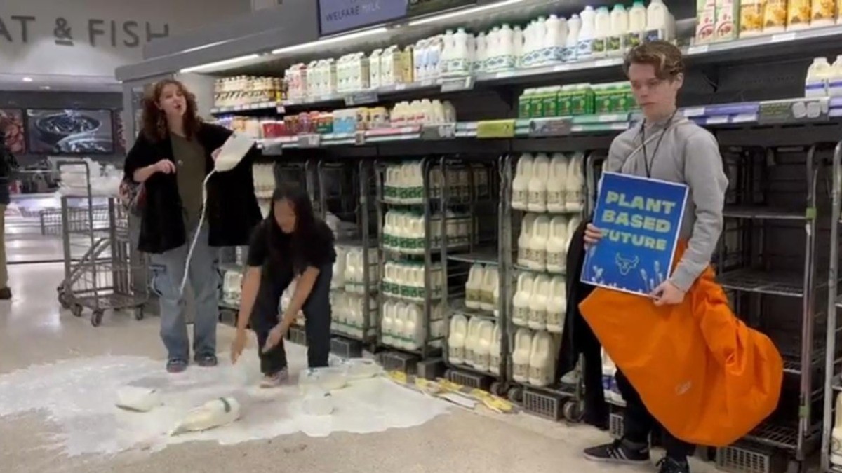 Veganos salvan el mundo ¿derramando leche?