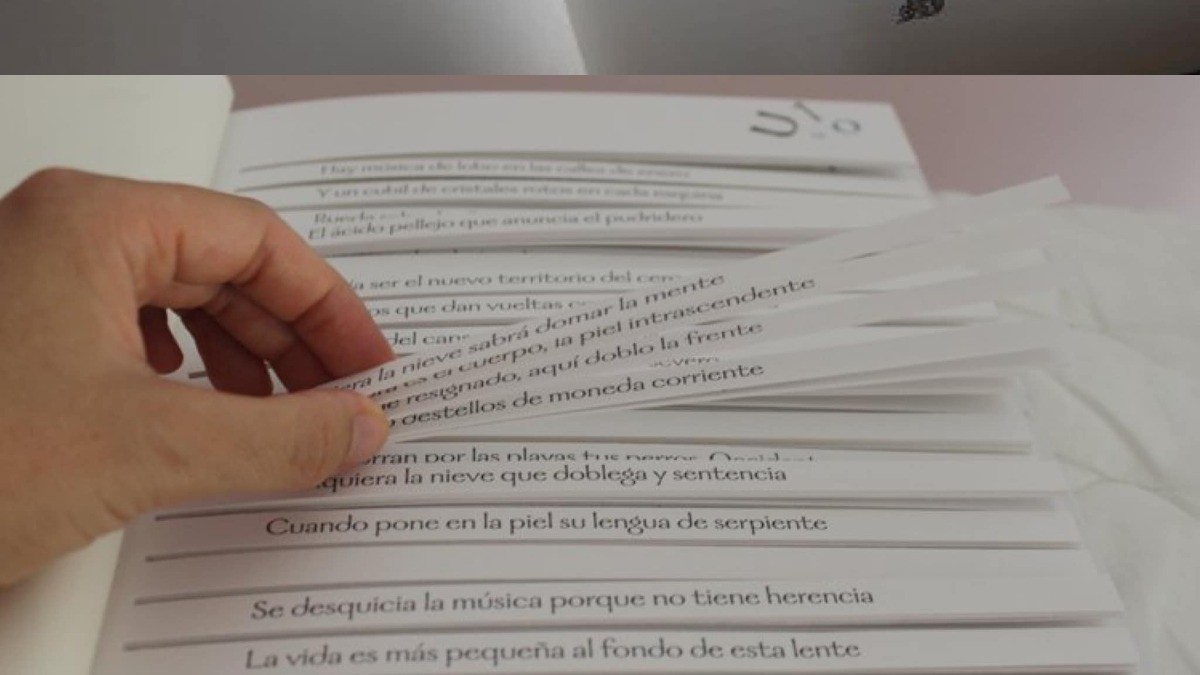 Este libro tiene 10 hojas, ¡y es imposible terminarlo de leer!