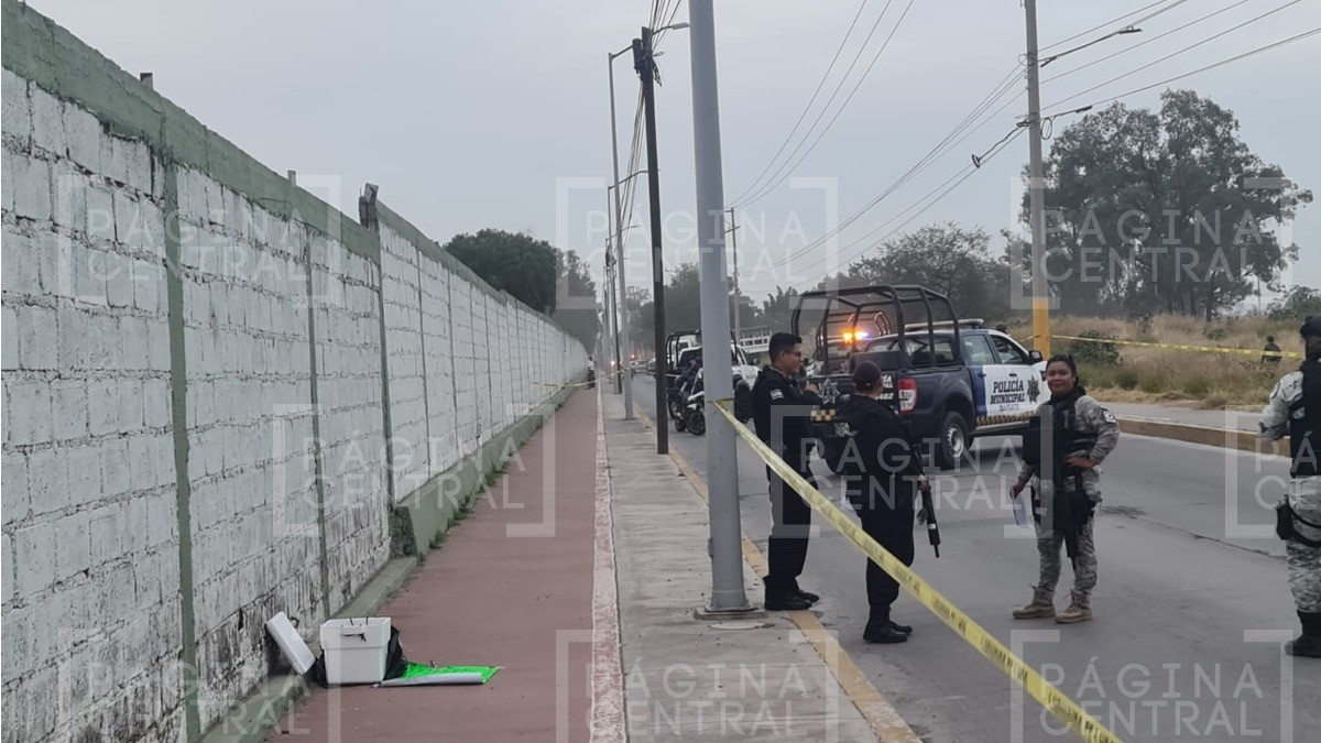 Abandonan restos humanos en diferentes puntos de Irapuato