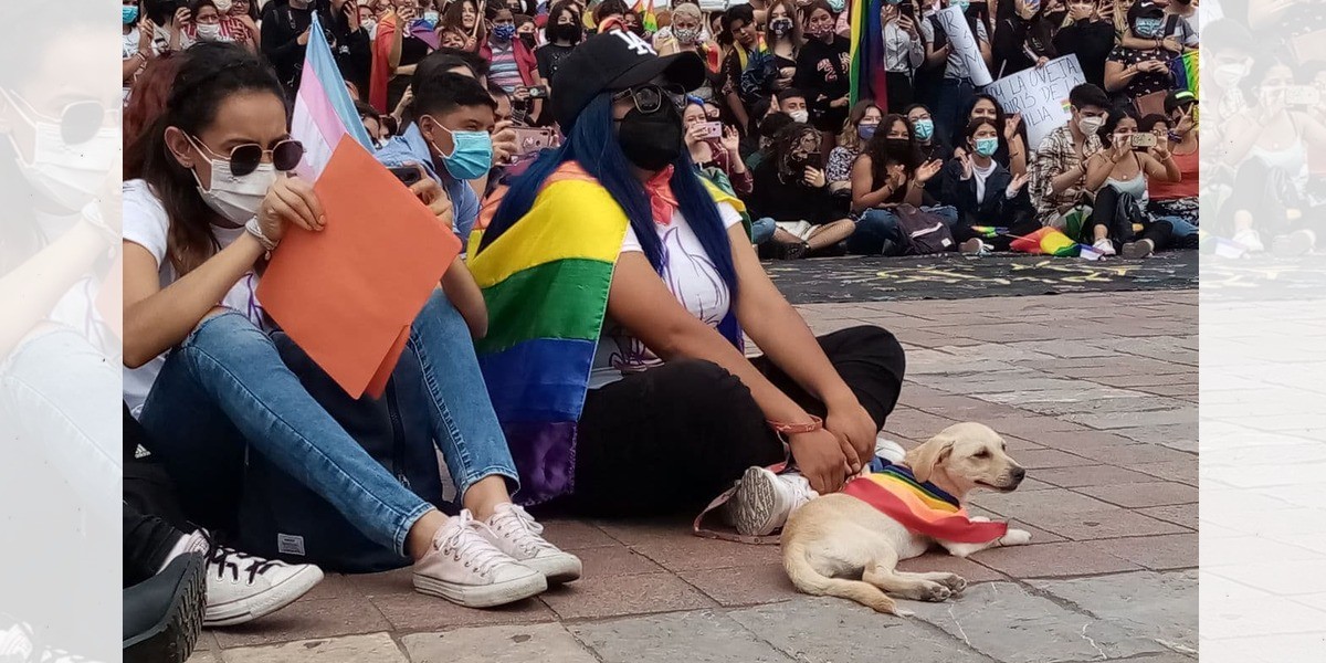 Exige Morena que matrimonio igualitario sea plasmado en la Constitución estatal