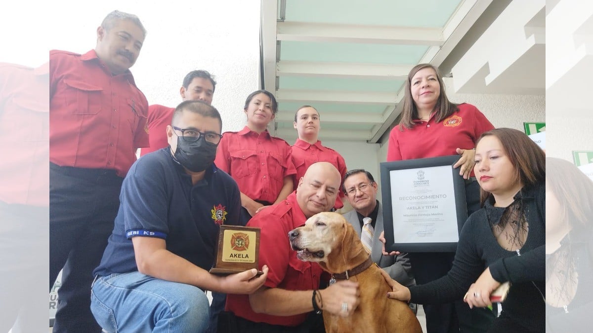 Reconocen rescate por el mundo de Akela y Titán