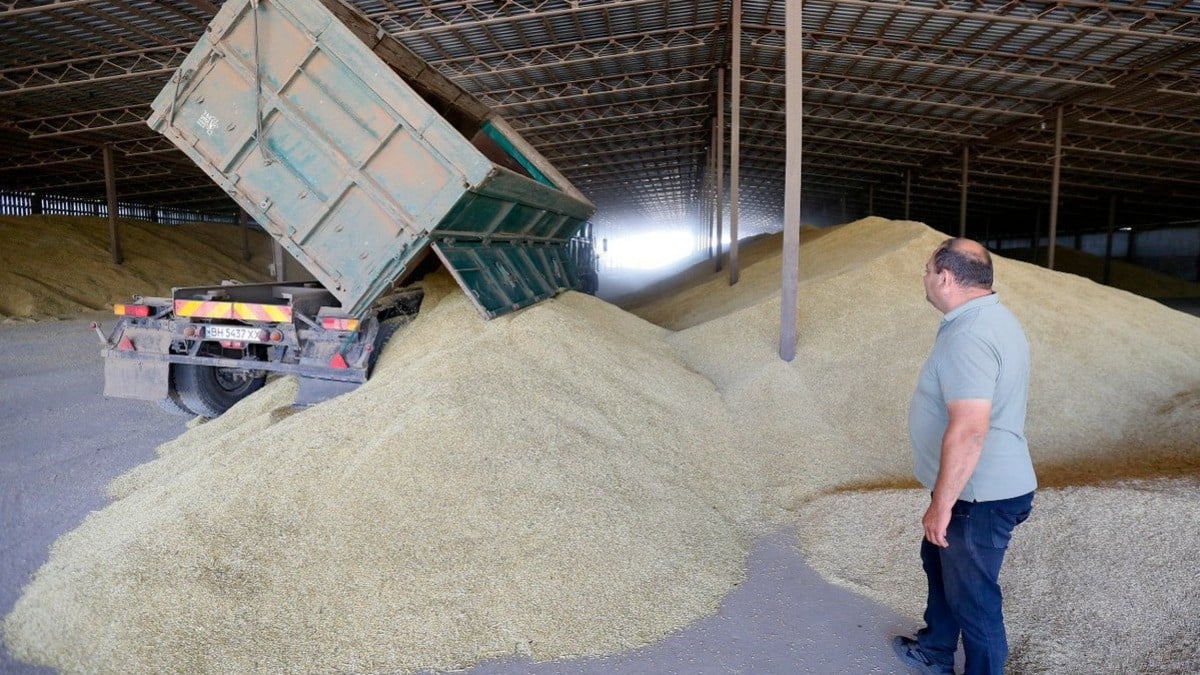 Turquía procesará trigo ruso gratis para regalarlo a países necesitados