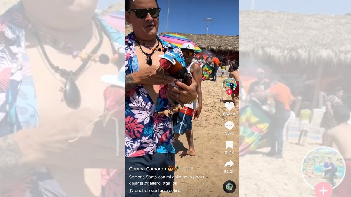 Joven se lleva a su gallo de vacaciones, ¡a la playa!