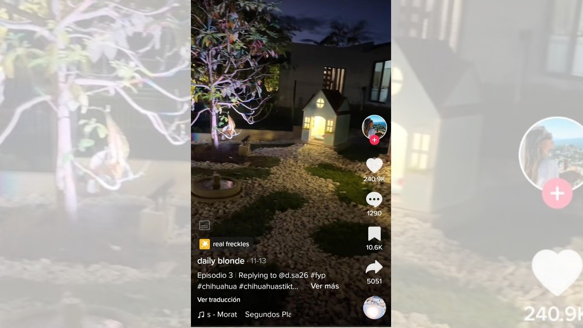 ¡Dueña le construye casas de lujo a sus perritos!