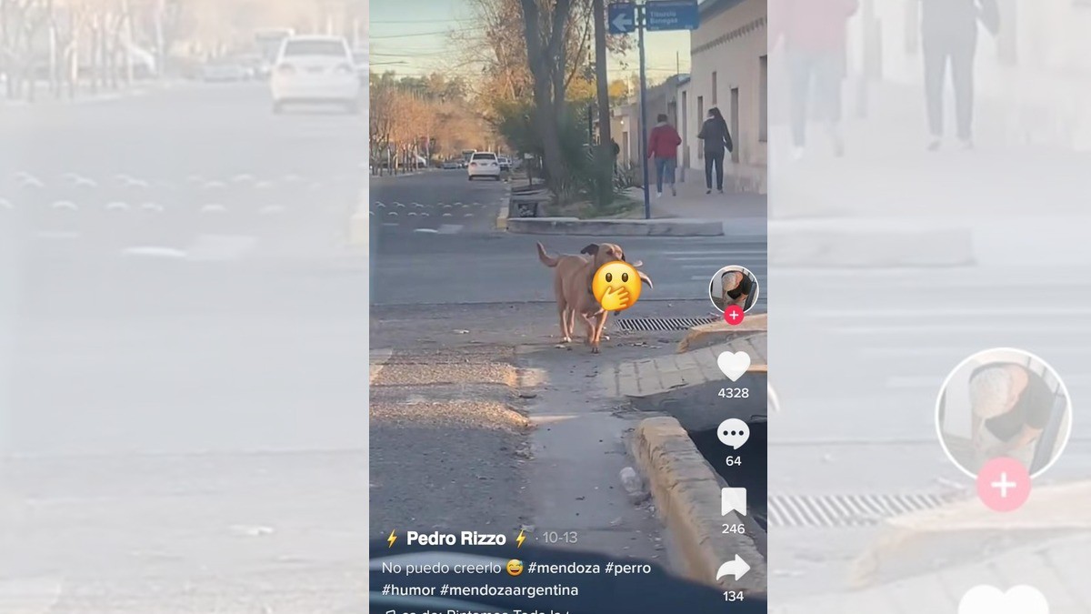 ¡Captan a lomito cargando la cabeza de una cabra negra!