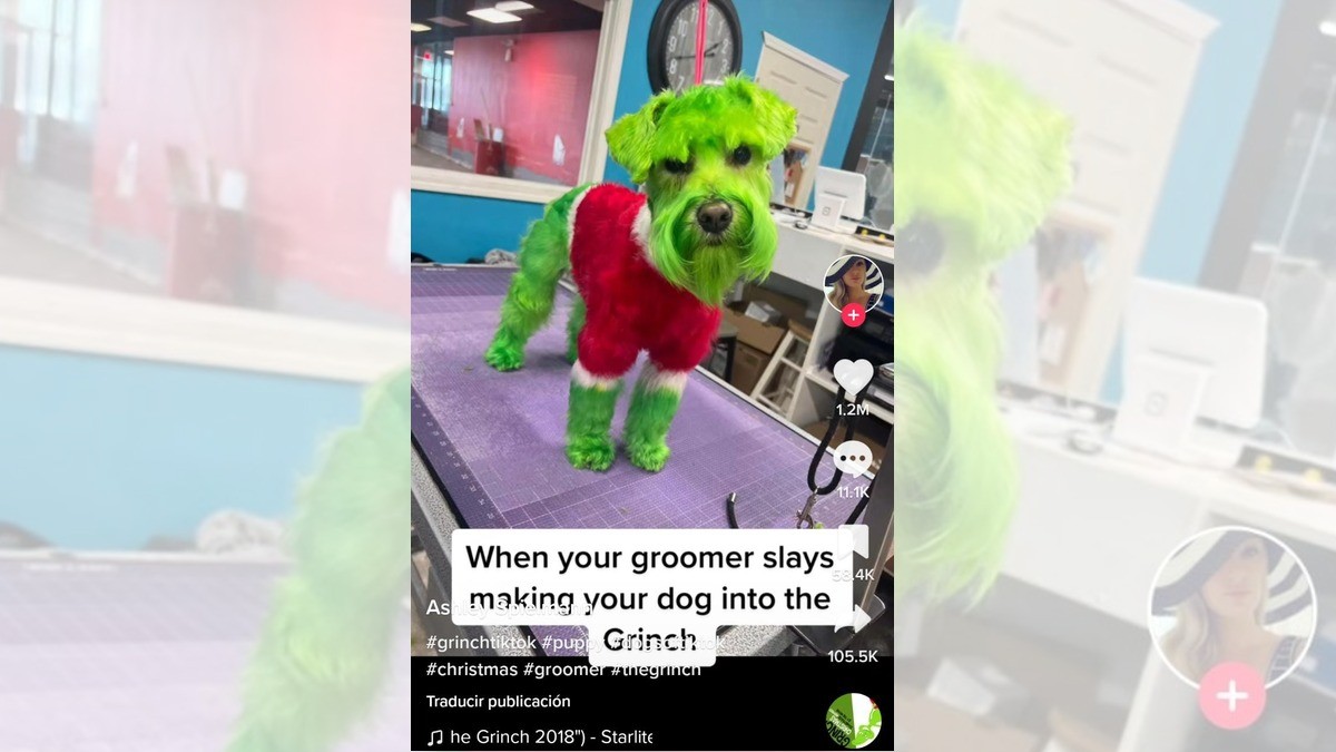 ¡Mujer tiñe a su perro de verde para que se parezca al Grinch!
