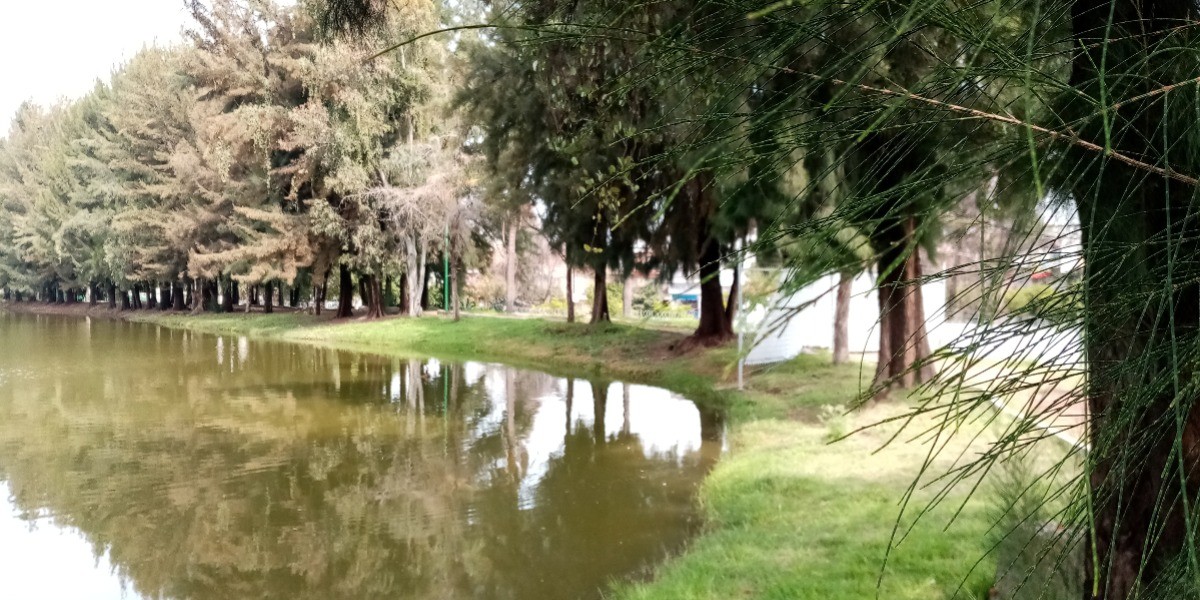 Gratuidad en el parque Chapalita comienza el 1 de enero