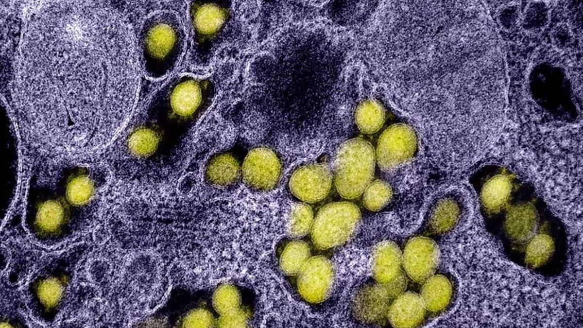 ‘Pesadilla del infierno’, la nueva variante de covid-19