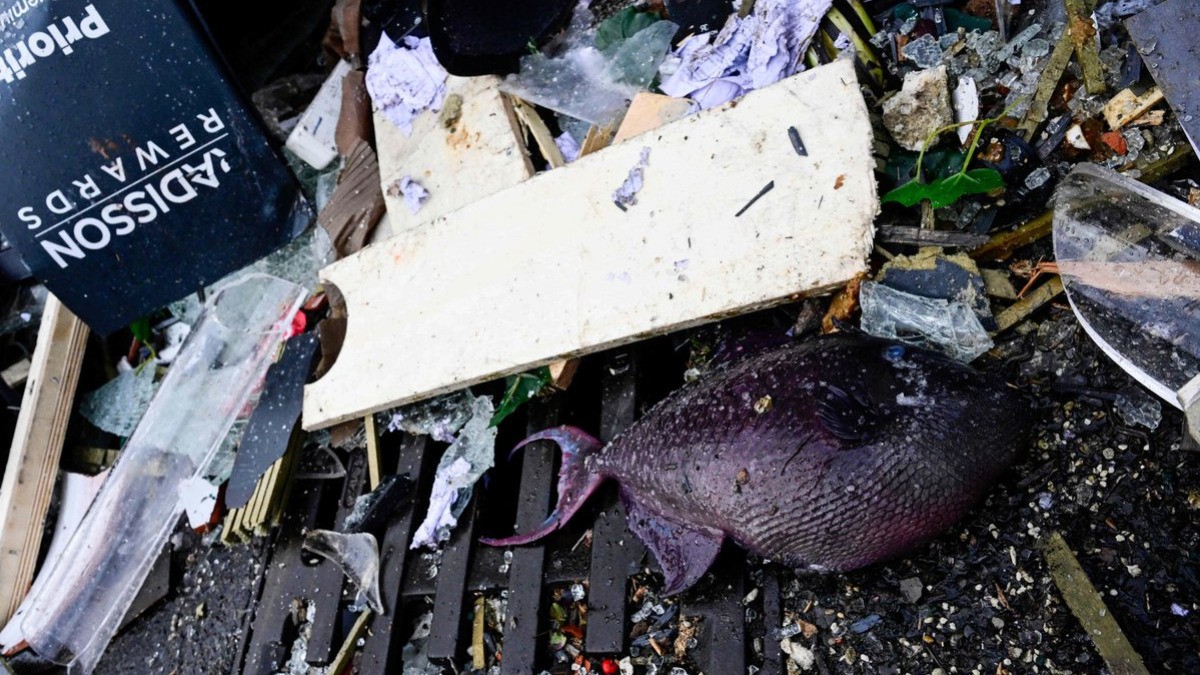 Se rompe acuario gigante y destruye vestíbulo de hotel en Berlín