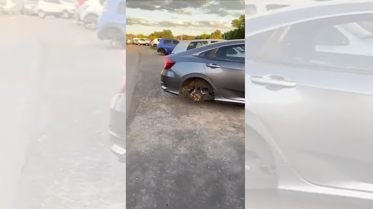 Aficionados acuden a recibir a la Selección Argentina; ¡les roban las llantas del carro!